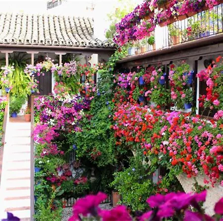 Apartamento Monteras Centro Córdoba