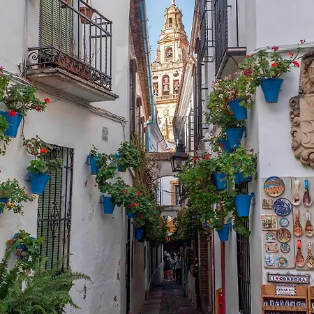 Monteras Centro