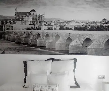 Monteras Centro Appartement Cordoue